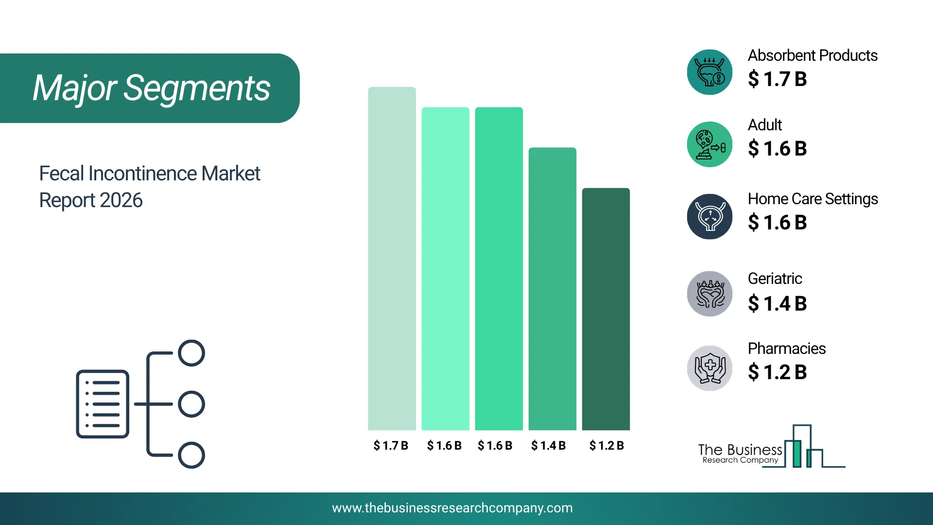 Fecal Incontinence Market Major Segmentation Breakdown2026 Major Segmentation Breakdown Chart Of The Fecal Incontinence Market.