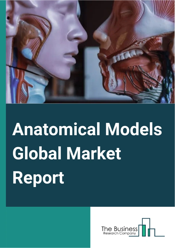 Anatomical Models Global Market Report 2024 – By Type (Brain Model, Torso Model, Organ Model, Nervous System Model, Skeletal System Model, Hand Model, Eye Model, Tooth Model, Digestive System Model), By Printing Technology (2D Printing, 3D Printing, 4D Printing), By End-User (Scientific Research Centers, Hospitals And Clinics, Education Centers, Rehabilitation Centers) – Market Size, Trends, And Global Forecast 2024-2033