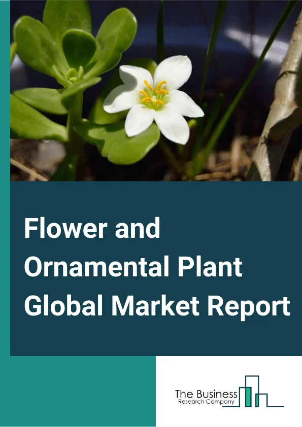 Flower and Ornamental Plant Global Market Report 2024 – By Type (Potted Plants, Cut Flowers), By Distribution Channel (Offline, Online), By End-Users (Commercial, Residential) – Market Size, Trends, And Global Forecast 2024-2033