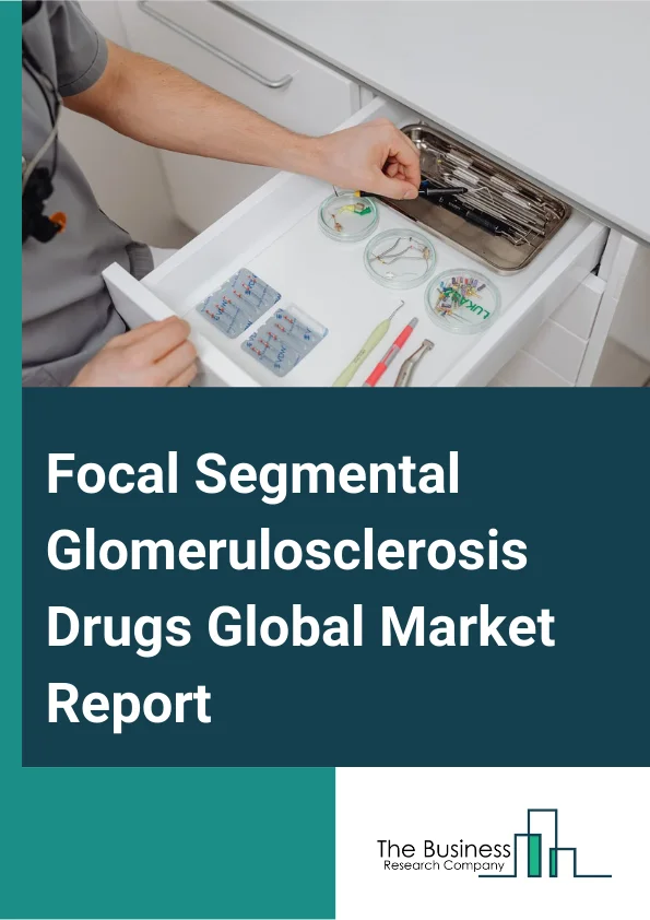 Focal Segmental Glomerulosclerosis Drugs Global Market Report 2024 – By Type (Losmapimod, SHP-627, Sparsentan, TM-5484, Other Types), By Treatment (Corticosteroids, Immunosuppressive Drugs, Angiotensin Converting Enzymes (ACE) Inhibitors, A.R. Blockers, Diuretics, Other Treatments), By Route of Administration (Oral, Parenteral), By End User (Hospitals, Homecare, Specialty Clinics, Other End Users) – Market Size, Trends, And Global Forecast 2024-2033