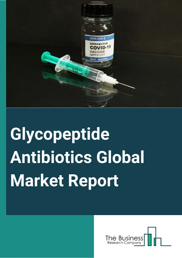 Glycopeptide Antibiotics Global Market Report 2024 – By Drug (Vancomycin, Dalbavancin, Oritavancin, Other Drugs), By Route of Administration (Oral, Parenteral, Other Routes), By Indication (Skin And Structure Infection, Meningitis, Clostridioides Difficile Infection, Enterocolitis, Other Indications), By End-User (Hospitals, Specialty Clinics, Homecare, Other End-Users) – Market Size, Trends, And Global Forecast 2024-2033