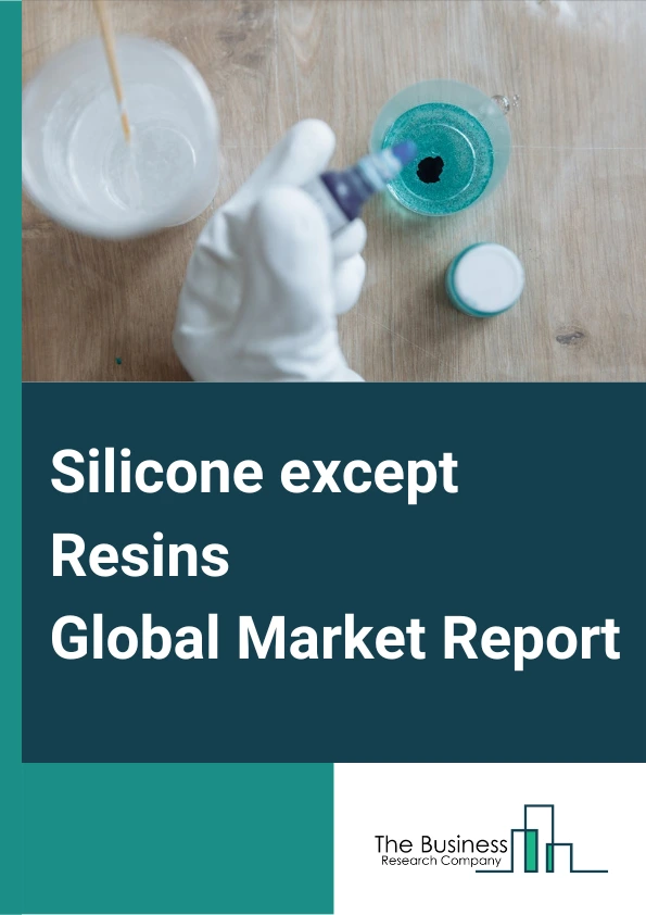 Silicone except Resins