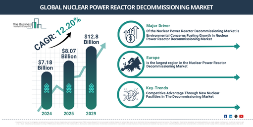 Global Nuclear Power Reactor Decommissioning Market Report Infographic