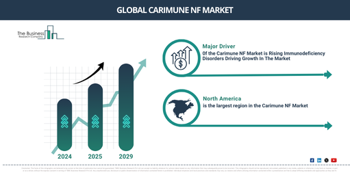 Global Carimune NF Market Report Infographic