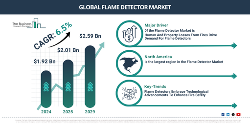 Global Flame Detector Market Report Infographic