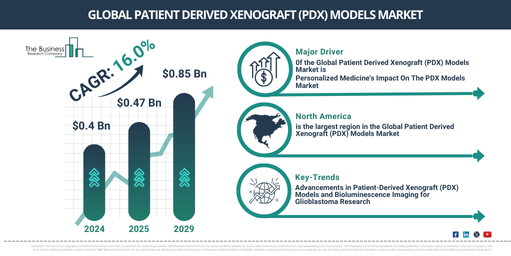 Global Patient Derived Xenograft (PDX) Models Market Report Infographic
