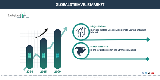 Global Strimvelis Market Report Infographic