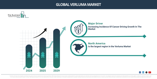 Global Verluma Market Report Infographic