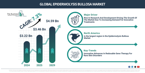 Global Epidermolysis Bullosa Market Report Infographic