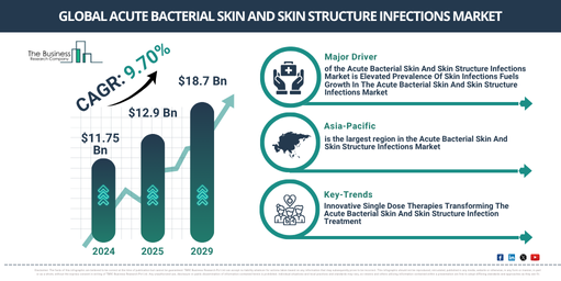 Global Acute Bacterial Skin And Skin Structure Infections Market Report Infographic