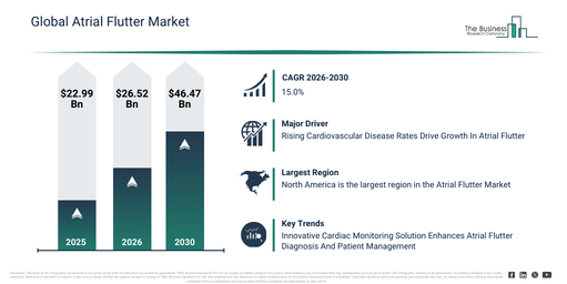 Global Atrial Flutter Market Infographic