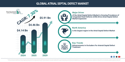 Global Atrial Septal Defect Market Report Infographic