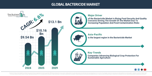 Global Bactericide Market Report Infographic