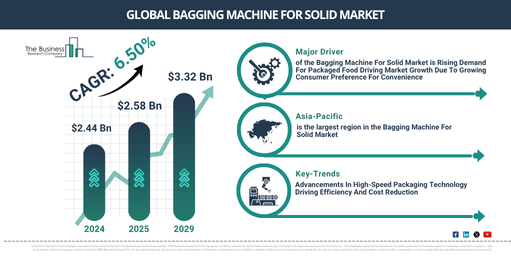 Global Bagging Machine For Solid Market Report Infographic