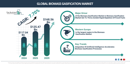 Global Biomass Gasification Market Report Infographic