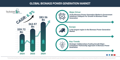 Global Biomass Power Generation Market Report Infographic