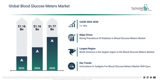 Global Blood Glucose Meters Market Report Infographic