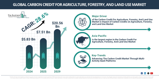 Global Carbon Credit For Agriculture, Forestry, And Land Use Market Report Infographic