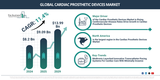 Global Cardiac Prosthetic Devices Market Report Infographic