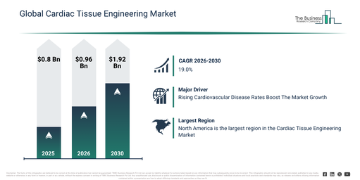 Global Cardiac Tissue Engineering Market Infographic