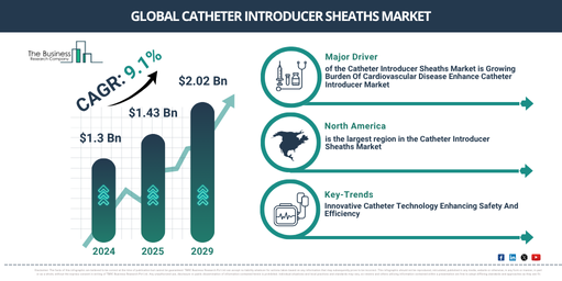 Global Catheter Introducer Sheaths Market Report Infographic