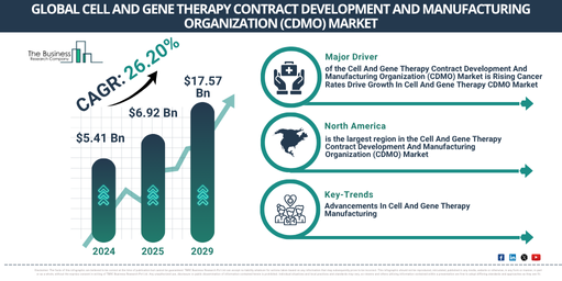 Global Cell And Gene Therapy Contract Development And Manufacturing Organization (CDMO) Market Report Infographic