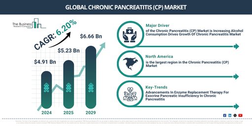 Global Chronic Pancreatitis (CP) Market Report Infographic
