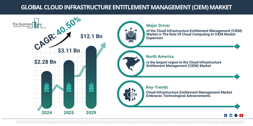 Cloud Infrastructure Entitlement Management (CIEM) Global Market Report 2025