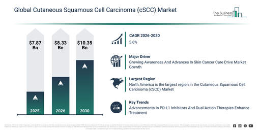 Global Cutaneous Squamous Cell Carcinoma (cSCC) Market Infographic