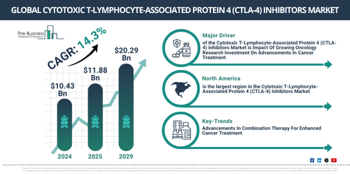 Global Cytotoxic T Lymphocyte Associated Protein 4 (CTLA 4) Inhibitors Market Report Infographic