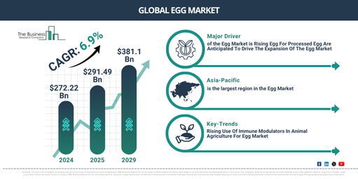 Global Egg Market Report Infographic