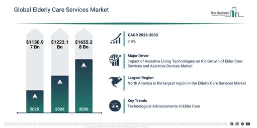 Global Elderly Care Services Market Infographic