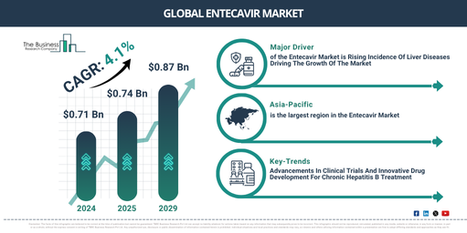 Global Entecavir Market Report Infographic