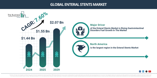 Global Enteral Stents Market Report Infographic