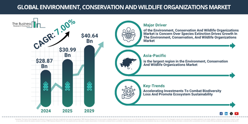 Global Environment, Conservation And Wildlife Organizations Market Report Infographic