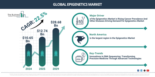 Global Epigenetics Market Report Infographic