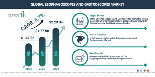 Global Esophagoscopes And Gastroscopes Market Report Infographic