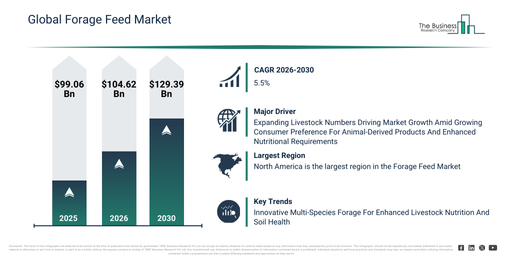 Global Forage Feed Market Report Infographic