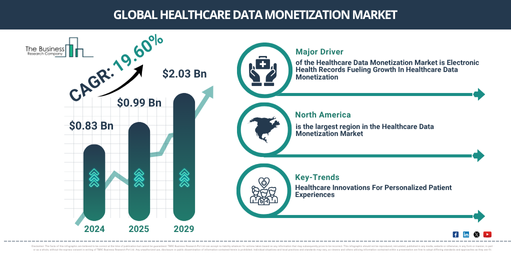 Global Healthcare Data Monetization Market Report Infographic