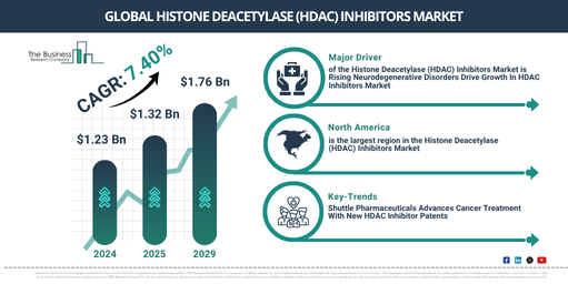Global Histone Deacetylase (HDAC) Inhibitors Market Report Infographic