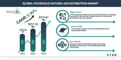 Global Household Natural Gas Distribution Market Report Infographic