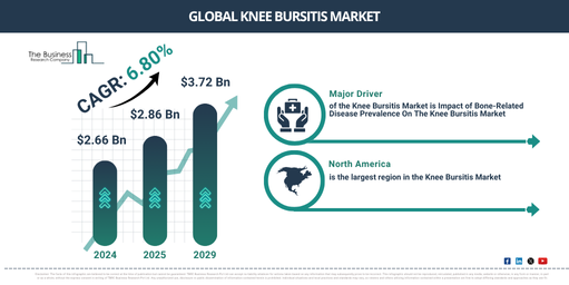 Global Knee Bursitis Market Report Infographic