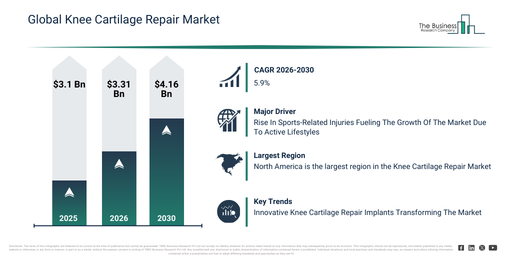 Global Knee Cartilage Repair Market Infographic