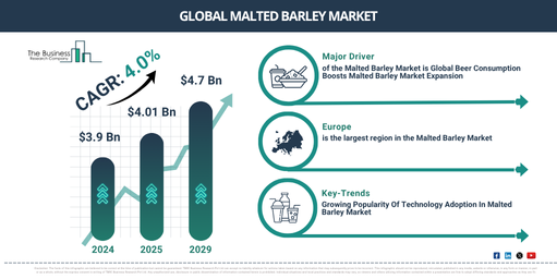 Global Malted Barley Market Report Infographic