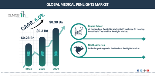 Global Medical Penlights Market Report Infographic
