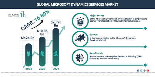 Global Microsoft Dynamics Services Market Report Infographic