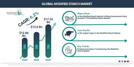 Global Modified Starch Market Report Infographic