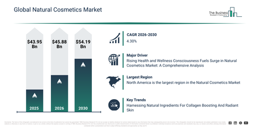 Global Natural Cosmetics Market Report Infographic