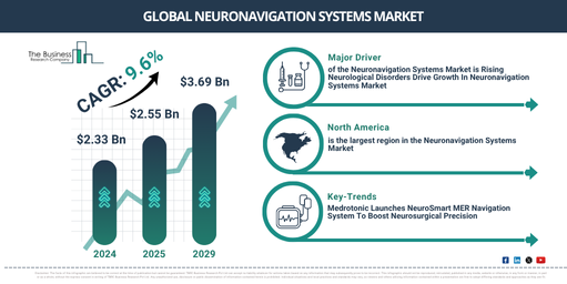 Global Neuronavigation Systems Market Report Infographic