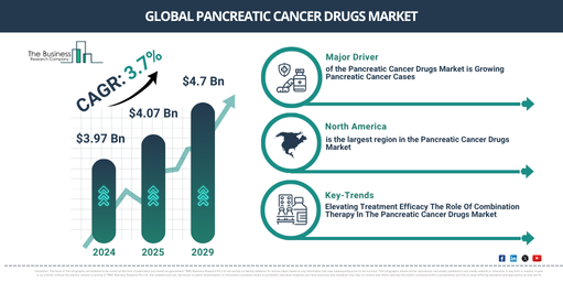 Global Pancreatic Cancer Drugs Market Report Infographic